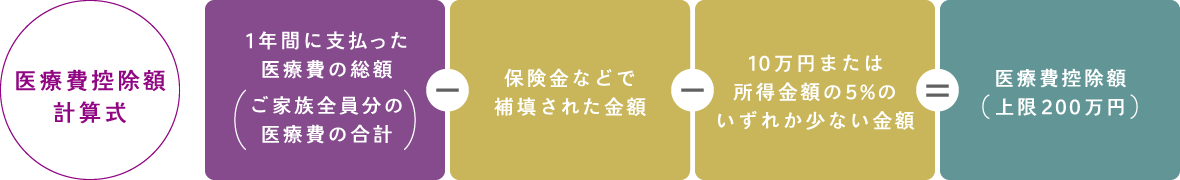 医療費控除額計算式