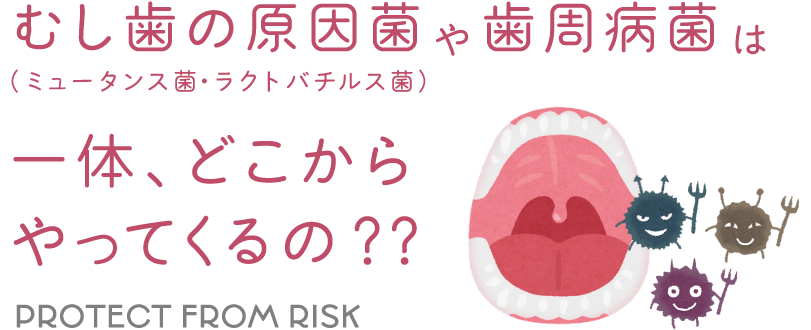 むし歯の原因菌や歯周病菌（ミュータンス菌・ラクトバチルス菌）は一体、どこからやってくるの？？